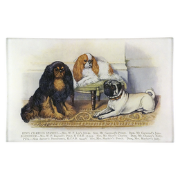 King Charles Spaniel & Pug
