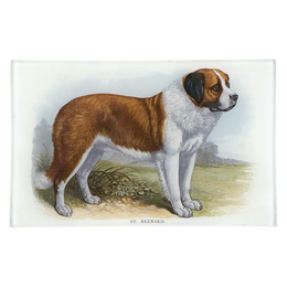 St. Bernard