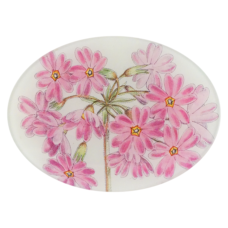 A five inch by seven inch oval glass plate with pink floral design on a white background.
