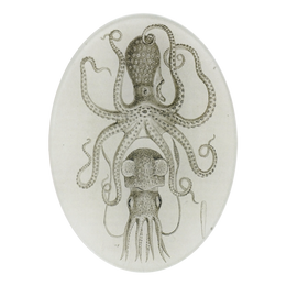 Squid & Octopus - FINAL SALE