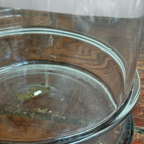 Large 19th-century French Lidded Jar (19A)