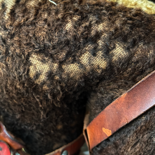 19th-century French Toy Horse on Wheels