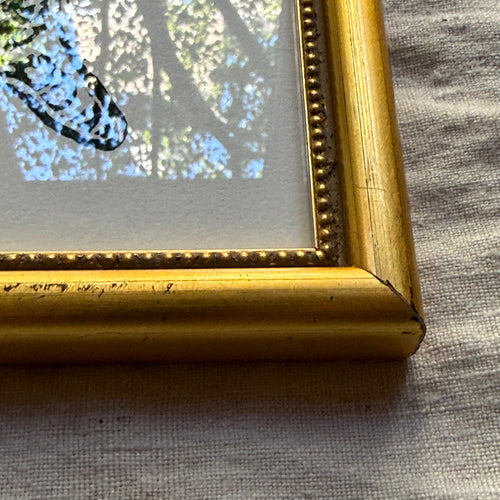 Hugo Guinness "Quail" Linocut in a Vintage Frame