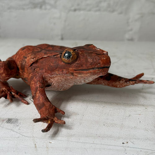 Papier-Mâché Painted Frog #5