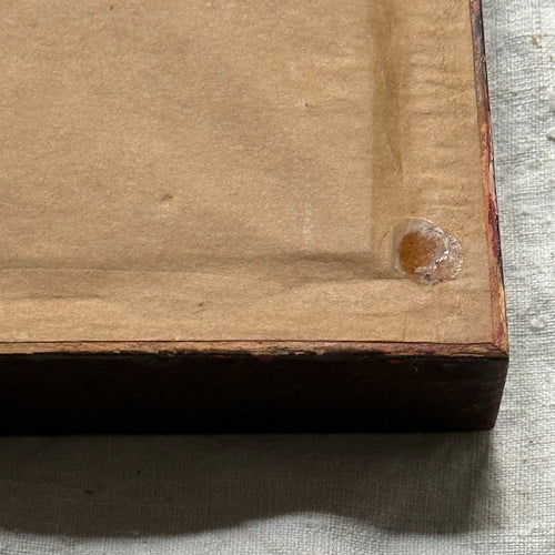 Pair of 19th-century Framed Fungi Illustrations