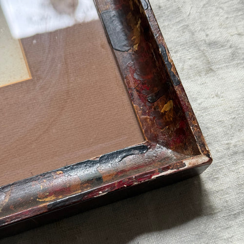Pair of 19th-century Framed Fungi Illustrations