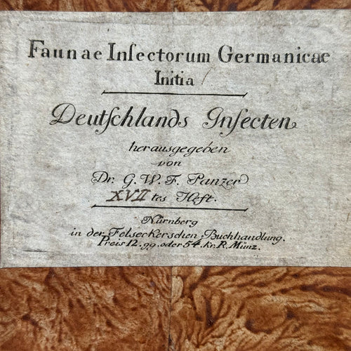 19th-century Marble Book Slipcase Sleeve #5