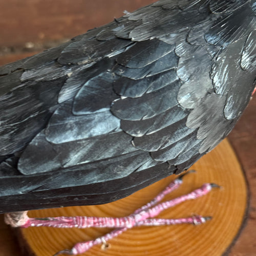 Papier-Mâché Robin