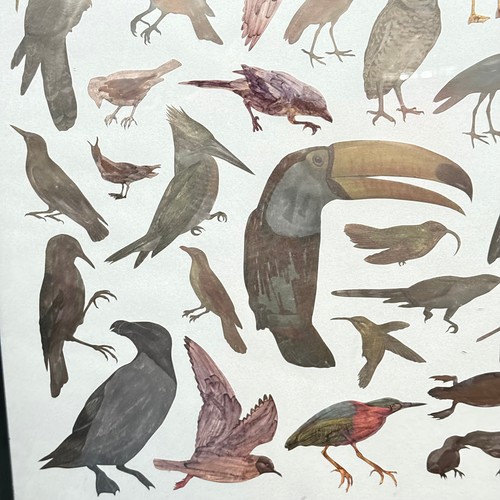 Framed Mike Miller Bird Silhouette Collage