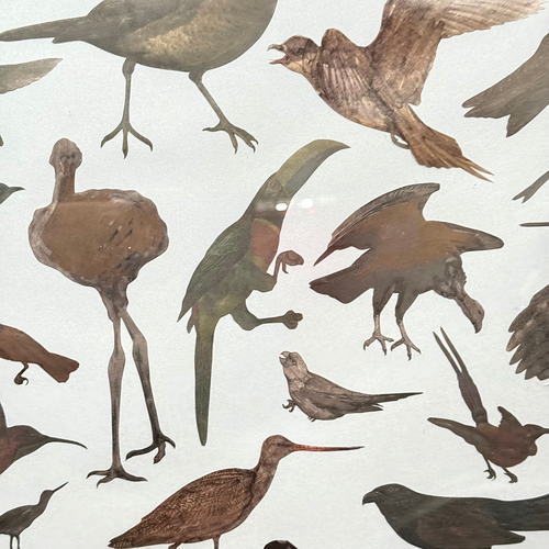 Framed Mike Miller Bird Silhouette Collage