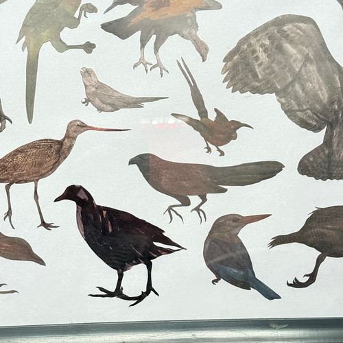 Framed Mike Miller Bird Silhouette Collage