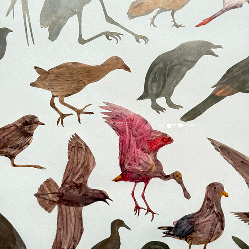 Framed Mike Miller Bird Silhouette Collage