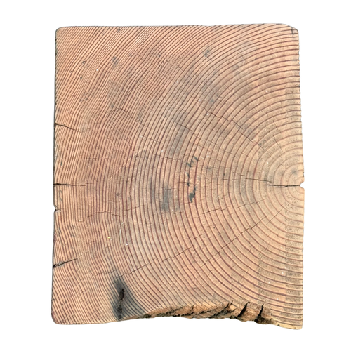 19th-century Beam Stump
