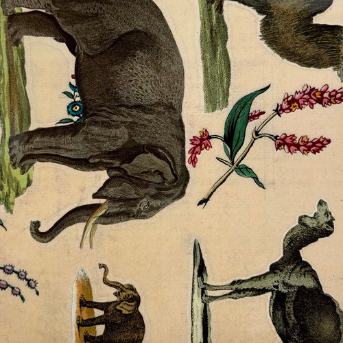 One-of-a-Kind Collaged Animal Mat Pair (#60)