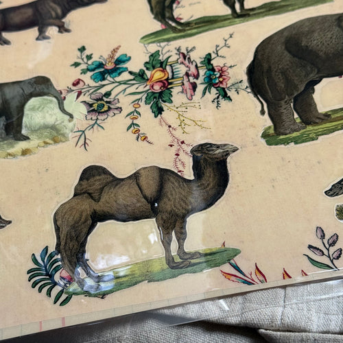 One-of-a-Kind Collaged Animal Mat Pair (#60)