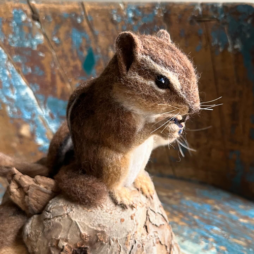 Needle Felted Chipmunk Trio