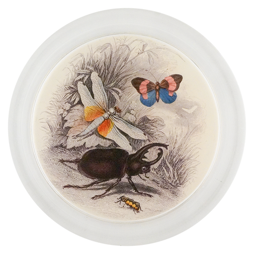 Butterflies with Beetle (Entomology)