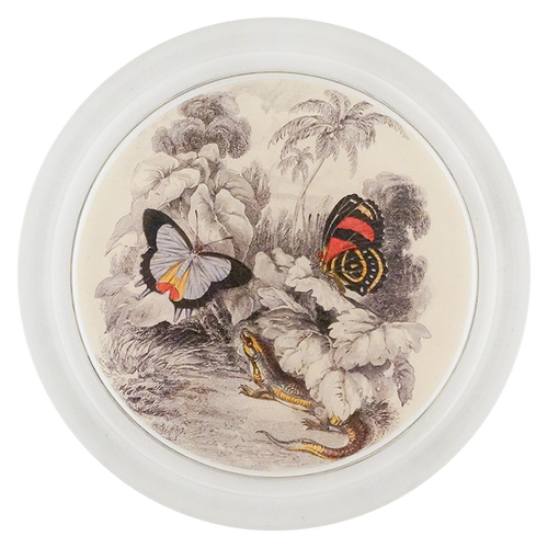 Butterflies with Green Lizard (Entomology)