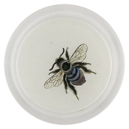 Honey Bee (Bees & Wasps)