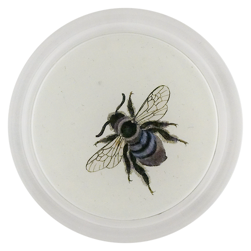 Honey Bee (Bees & Wasps)