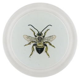 Red Mason Bee (Bees & Wasps)