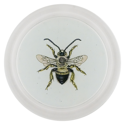 Red Mason Bee (Bees & Wasps)