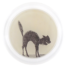 Arched Cat - FINAL SALE