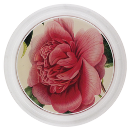 Camellia Blossom 4 - FINAL SALE