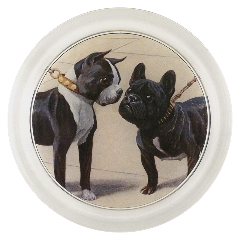Boston Terrier & French Bulldog