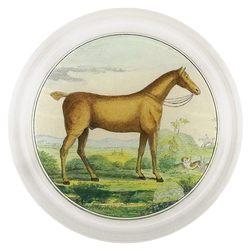 Brown Horse