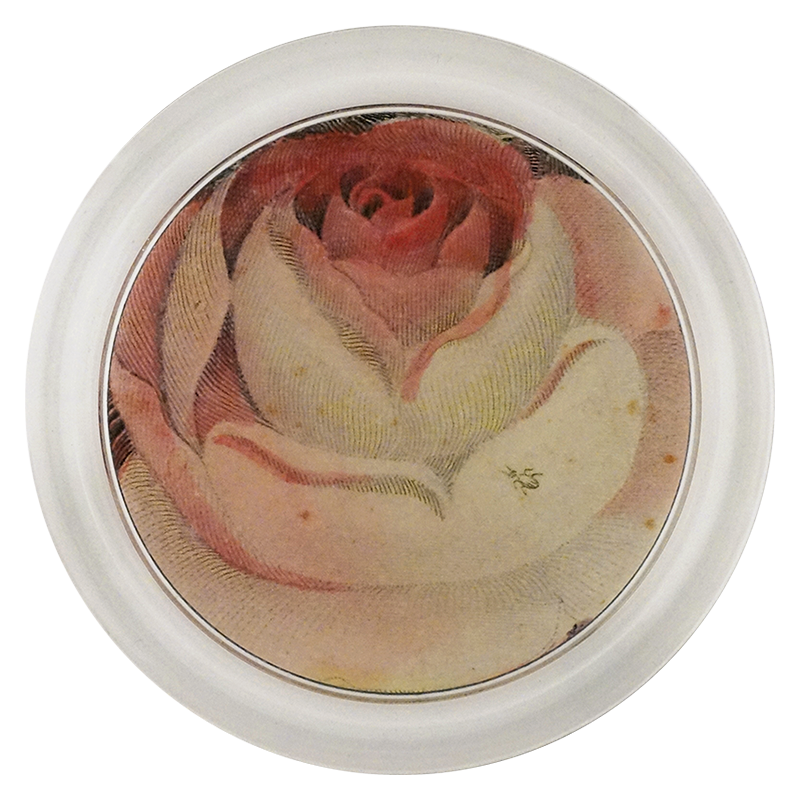 Rose with Ant