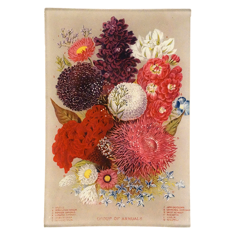 Annuals