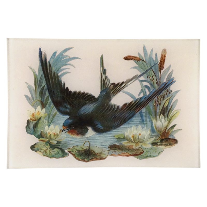 Swallow Over Pond