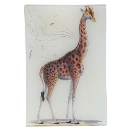 Giraffe #1 - FINAL SALE