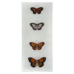 Butterflies ACEG