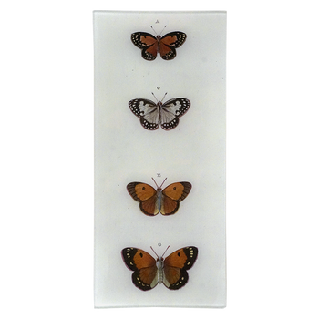 Butterflies ACEG