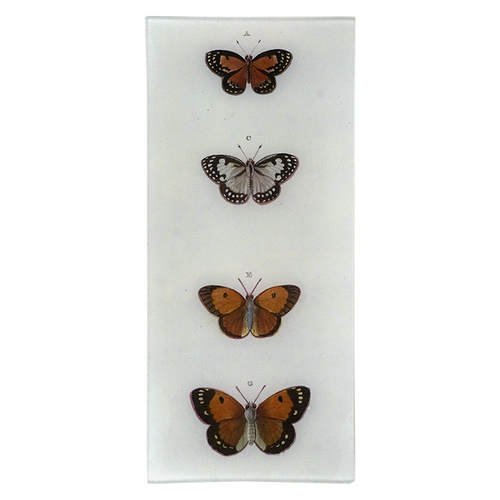 Butterflies ACEG