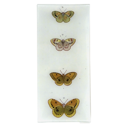 Butterflies BDFH
