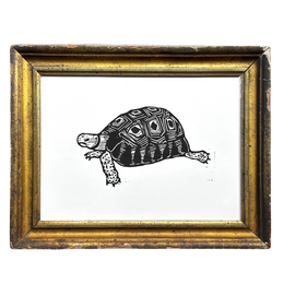 "Turtle" in a Vintage Gilded Frame