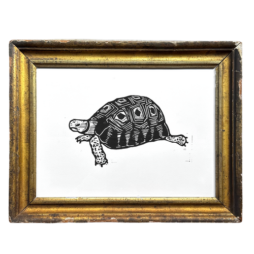 "Turtle" in a Vintage Gilded Frame