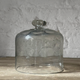 19th Century French Glass Cloche (D06)