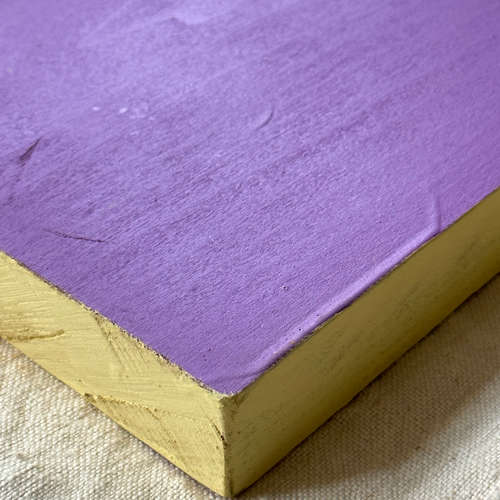 Leanne Shapton "Gender Trouble" Painted Wooden Book