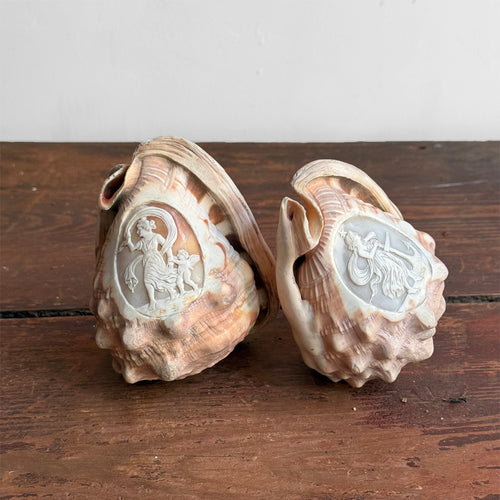 Pair of Antique Cameo-Carved Conch Shells