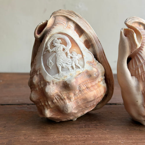 Pair of Antique Cameo-Carved Conch Shells