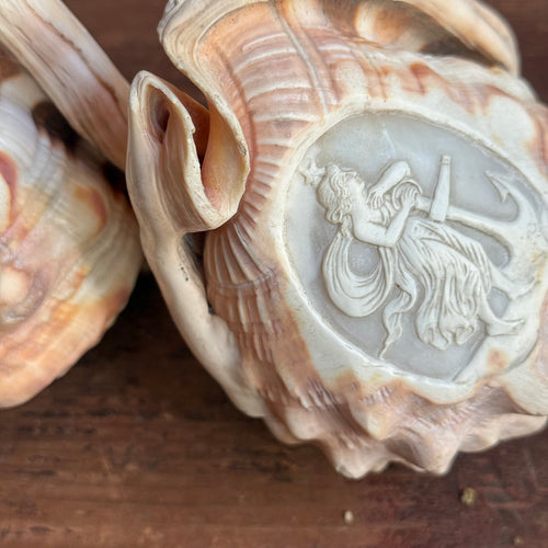 Pair of Antique Cameo-Carved Conch Shells