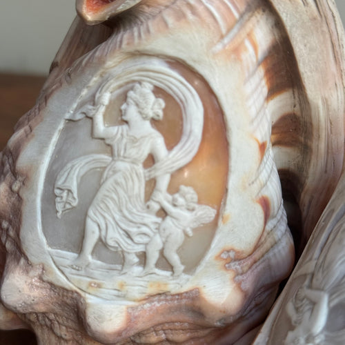 Pair of Antique Cameo-Carved Conch Shells