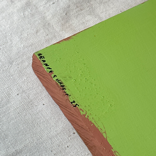 Leanne Shapton "The World According to Garp" Painted Wooden Book