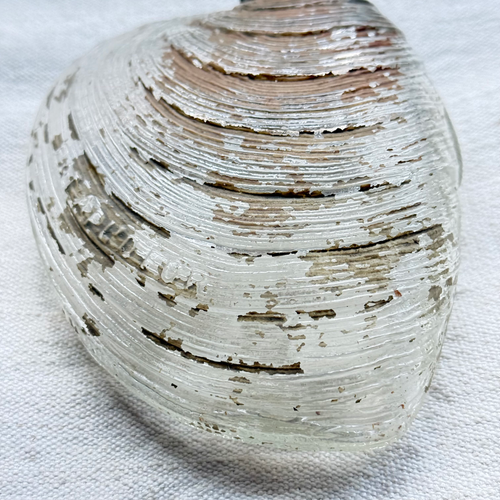 19th-century Glass Shell Flask (#4)