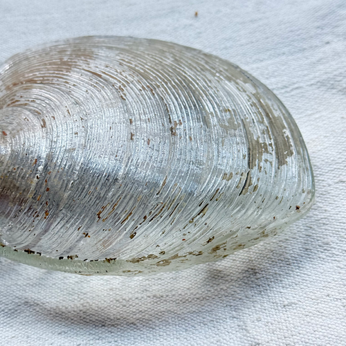 19th-century Glass Shell Flask (#4)