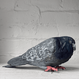 Papier-Mâché Painted Pigeon #06